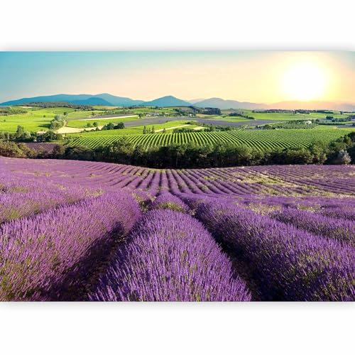 murando Fotomurales Lavanda Campos 450x315 cm XXL Papel pintado tejido no tejido Decoración de Pared decorativos Murales moderna Diseno Fotográfico Paisaje naturaleza c-C-0427-a-a