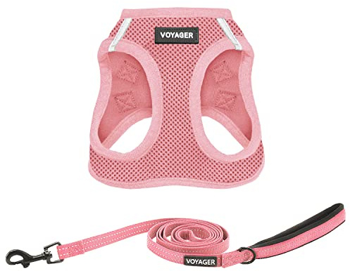 Best Pet Supplies Voyager Step-in Air All Weather Mesh Harness and Reflective Dog 5ft Leash Combo with Neoprene Handle, for Small, Medium and Large Breed Puppies - Set (Pink), XX-Small