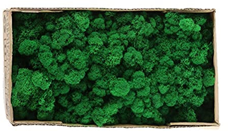 Konserverad Dekorativ Mossa, Gulgrön 500g, Naturlig Stabiliserad Mossa för Hantverk, Terrarium och Inredning, Mjuk Textur för DIY Projekt och Säsongsdekoration