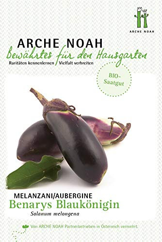 Arche Noah 6691 Aubergine Benarys Blaukönigin (Bio-Auberginensamen)