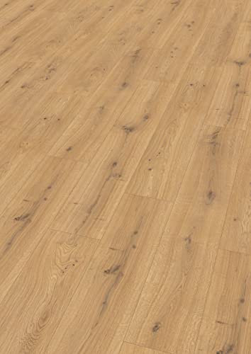 Egger Suelo laminado Aqua Clic It EL1005 Predaia de roble miel (8 mm, 1,995 m²), aspecto de madera auténtica, fácil instalación mediante sistema de clic, práctico y resistente, color marrón