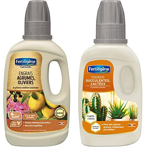 Fertiligène Engrais Agrume Olivier et Plante Méditerranéenne Bio, 400 ML & Engrais Cactus et Succulentes, 250 ML
