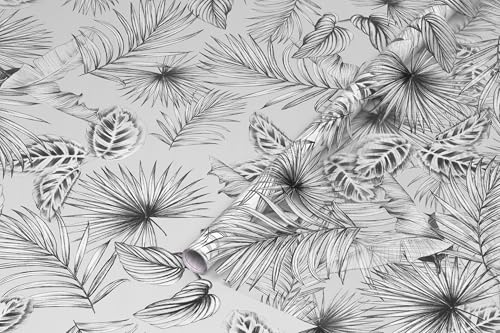 d-c-fix pellicola per finestra Botanicals 67,5 cm x 2 m – pellicola oscurante autoadesiva con motivo moderno per superfici in vetro – autoadesiva, opaca, decorativa