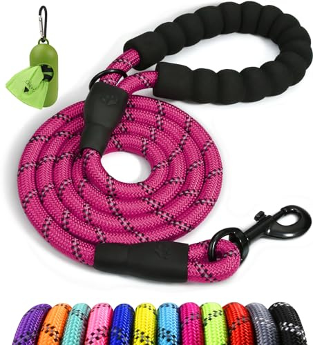 Taglory Laisse Chien Corde, Laisse pour Chien en Nylon avec Poignée Rembourrée Douce et des Fils réfléchissants, 180cm x 1.2cm, Rose Vif