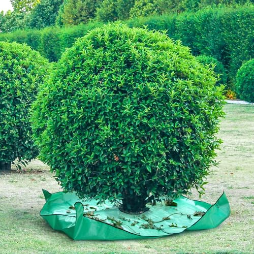 Betus Waterproof 78x78 in Landscape Pruning Tarp with 12 in Center Hole for Shrub Bush & Tree Trimming - Corner Buckles for Fastening - Heavy-Duty Reusable Ground Cover for Garden & Yard Cleanup