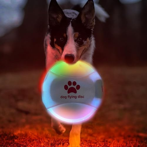 Frisbee LED rechargeable pour chien – Disque volant lumineux pour jeu de nuit – Jouet pour chien à DEL durable et étanche pour l'entraînement en plein air – Parfait pour le jardin, le parc et la plage