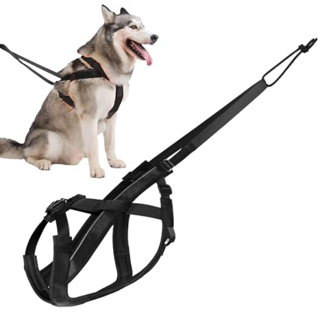 Hunddragsele, reflekterande löparsele med justerbara remmar för utomhusträning och träning, bekväm design utan för promenader