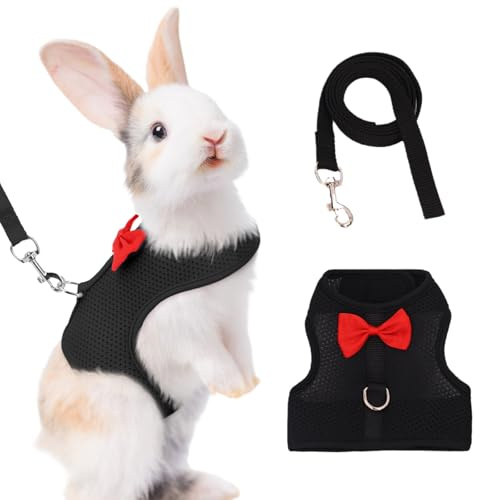 Harnais Lapin avec Laisse Réglable et Respirant - Accessoires pour Lapin Nain et Petits Animaux, Confortable et Sécurisé pour Promenade, Noir, Taille S