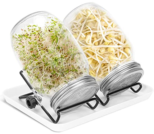 Vigevee Ribbsturglas groddglas, uppsättning om 2 950 ml groddar med lock och sil, kapacitet 2 justerbara fästen 1 bricka, groddar groddare för Alfalfa krasse broccoli Mungobönor
