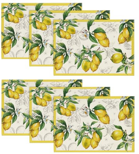 Artoid Mode Zitrone Sommer 6er Set Platzsets, 30x45cm Saisonnal Frühling Bankett Tischsets Waschbar Platzdeckchen Küche Party Deko