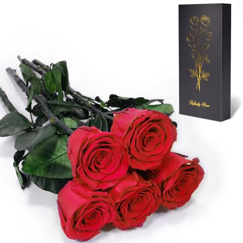 Yamonic Rosa Stabilizzata Regalo Donna,Rosa Eterna con Steli Regalo per Donne Compleanno,Idee Regali per Lei,Regali Mamma Natale San Valentino Festa della Mamma,5 Rose