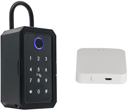 Coffre-fort, coffre-fort domestique, Boîtes à clés électroniques intelligentes Tuya fonctionnent avec la passerelle étanche boîte de verrouillage extérieure boîte à clés murale de sécurité d'empreinte