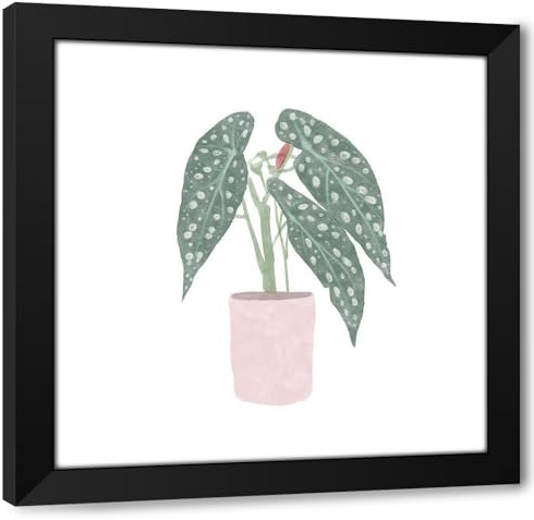 ArtDirect Polka Dot Begonia V Custom Framed Art Print Giclee Print or Canvas Options with Various Sizes and Customization by Bannarot