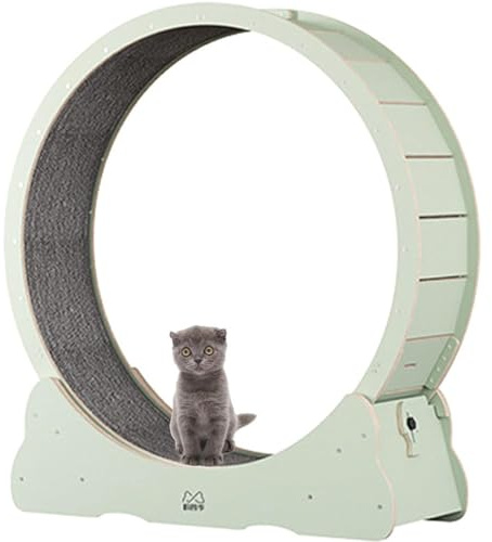 Kattträningshjul, kattlöpband, naturligt massivt trä katt balanscykel, heltäckningsmatta löpmaskin för katt viktminskning och fitness, hållbar och säker