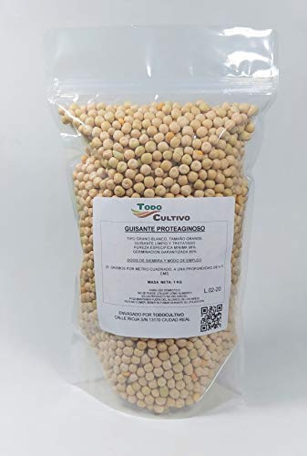 Guisante forrajero para sembrar tipo proteaginoso. 1 Kg. Apto para huerto o jardín con espectacular tasa de germinación.