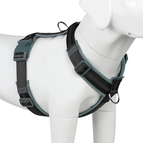Plutus Pet No Pull Dog Harness, Adjustable Nylon Harness with Soft Padding, Reflective and Heavy Duty Dog Harness for Small, Medium, Large Dogs(Black, M)