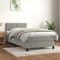 Iiaky Boxspringbett mit Matratze Betten Matratze Bett Mit Matratze Boxspringbett Mit Bettkasten Hellgrau 100x200 cm Samt - 3141287