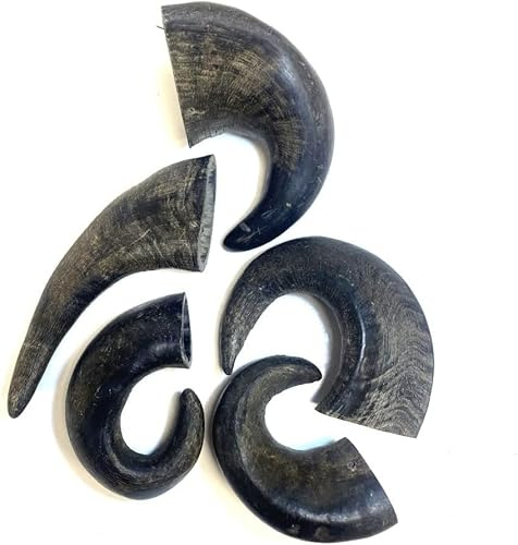 Maltbys' Stores 20x Medium Buffalo Horns 100% Natural Dog Treats Chews