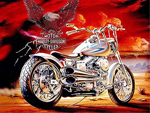 KookuLEE 16x12 5D Diamant Feuerwolkenadler Motorrad DIY Diamond Painting Set DIY Diamant Malerei Vollbohrer Stickerei Malerei Crystal Strass Stickerei für Haus Wand Und Eingang Dekorationen…