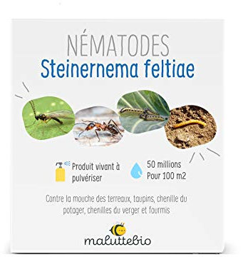 Nématodes SF Anti Mouches des terreaux, taupins, chenilles du Potager et verger et Fourmis - 50 millions (pour 100 m²)