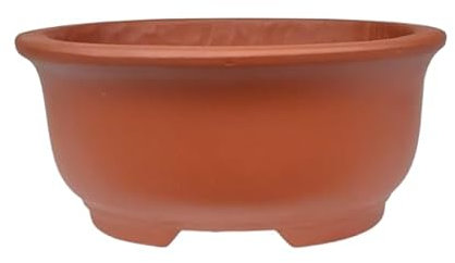 Genérico BIOMATA Maceta Bonsai Ceramica para Shohin 14,3x12x6,5 cm | Maceta Ovalada Gres Roja | Maceta para Bonsai Resistente a Cualquier Clima | Tiesto Ceramica con Drenaje Base Plana