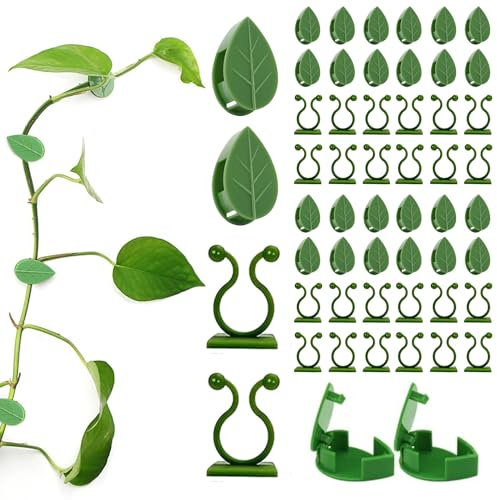 Yitobici 60 supporti per piante rampicanti, da parete, per piante rampicanti, decorazione per la casa