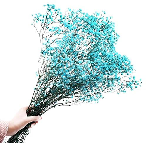 GRIRIW Ramo De Flores Secas Gypsophila para DecoracióN Hogar Ramo De Flores Preservadas RomáNticas De 20X20X20Cm Regalo para Navidad San ValentíN