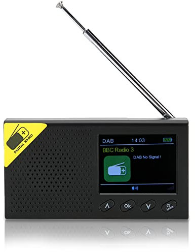 Radio FM Internet Portable, Radio Numérique sans Fil 1200 MAh pour DAB Écran LCD 2,4 Pouces Lecteur Radio à Sortie Stéréo pour Utilisation Intérieure et Extérieure