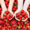 Plants de fraisiers 'Senga Sengana' la variété de fraise la plus sucrée du mois de mars - Parfait pour les confitures et les jus - Set de 10 plants FRAISES - Super fruit pour le jardin et le balcon