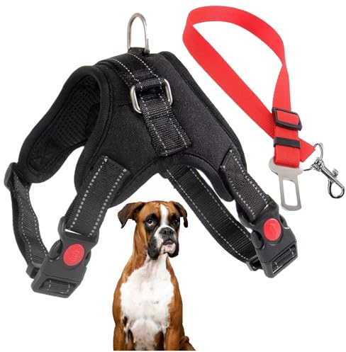 Pettorina regolabile per cani di piccola taglia con guinzaglio di sicurezza per auto. Pettorina anti-tiraggio, rinforzata. Sicuro e confortevole. Ideali per il tuo animale domestico. (Large-R)