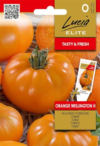 Lucia Elite | Semi di pomodoro arancione Wellington H | Semi di ortaggi | Semi di pomodoro | Un ibrido precoce di medie dimensioni con sapore e pomodori carnosi | 1 confezione