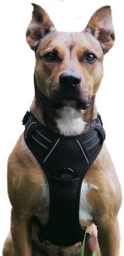 No Pull Hundegeschirr, Verstellbar Atmungsaktiv Reflektierend Weich Gepolstert Hunde Geschirr, Brustgeschirr für Hunde (Schwarz, S)