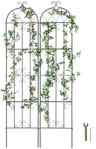 VEVOR Treillis de jardin rampants pour plantes fleurs en métal antirouille, support pour treillis pour roses grimpantes extérieures, treillis décoratif pour clématite haute cour 51 x 220 cm 2 pièces