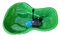 Kit de estanque de jardín modelo Bracciano + filtro interno Ecopond 2 estanque artificial con bomba incluida y depósito preformado 220 l peces plantas acuáticas