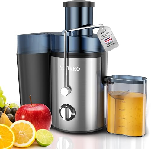 Juicer, Fruit and Vegetable Juicer, 3-Speed Adjustment, 800W Fruit and Vegetable Extractor with 75MM Wide Mouth, Easy to Clean, BPA-Free Stainless Steel (silvery-58)