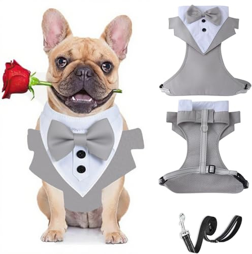 Harnais de smoking avec laisse pour chien – Gilet formel avec nœud – Harnais de mariage réglable pour chiot et chien de petite et moyenne taille XL (gris)