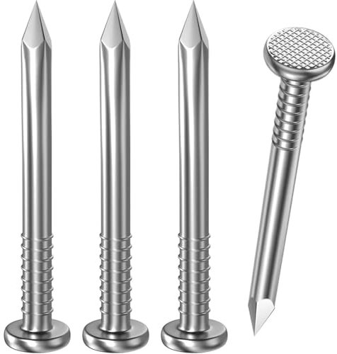 Dayalo Lot de 50 clous en acier de 16 mm - Clous pour toiture - En acier inoxydable A2 V2A - Pour murs en bois et béton