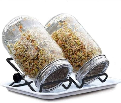 GeRRiT Sprossenglas, Sprossenglas mit Gitter, Keimglas-Set für Sprossenanbau für Bohnen, Sprossenbrokkoli, Alfalfa, 24 x 18 x 2,5 cm