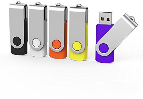 Aiibe 5 Pack 64GB USB Flash Drive 64 GB Flash Drives Thumb Drive Swivel USB Stick USB 2.0 Pen Drive (64G, 5 Mixed Colors: Black Red Yellow White Purple)