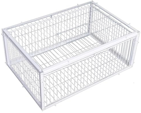 Trampa para Palomas, Trampa para pájaros con entradas de Acceso unidireccional y tragaluz, Jaula de Metal para Palomas de 16 x 12 x 10 Pulgadas para Granjas, graneros, Jardines, cría de, pája
