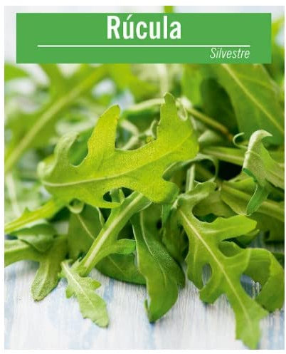 Semillas de Arúgula o Rúcula para Ensalada Fácil Germinación