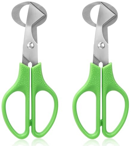 LYCXAMES Tijeras para huevos de codorniz, tijeras para huevos de codorniz, tijeras para cortar cáscaras de huevo de acero inoxidable, tijeras para huevos pequeños, abridor de cáscara de huevo para el