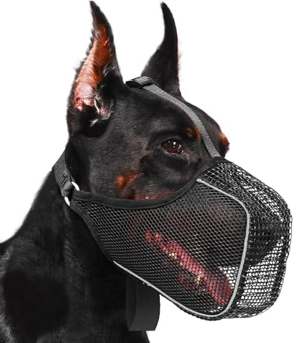 XFSRG Muselière Chien Respirante en Maille Muselière pour Chiens de Petite Taille Confortable et Sécurisée Idéale pour Promenades et Visites chez Le Vétérinaire (Noir, L)
