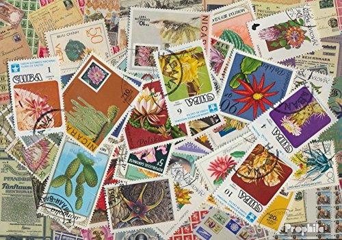 Motives 50 divers Cactus Timbres (Timbres pour Les collectionneurs) Plantes/Champignons