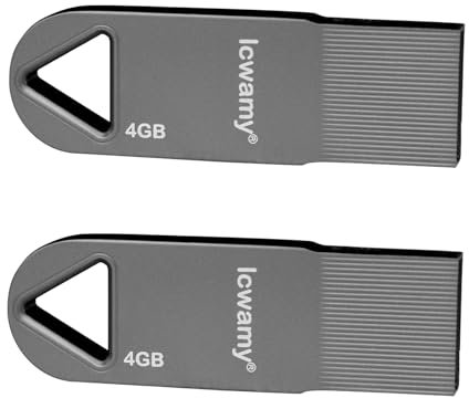 lcwamy 4GB USB Stick 2 Pack Flash Drives Pack USB Memory Stick 2 Pack Thumb Drive 4GB Bulk Mini Flash Drive