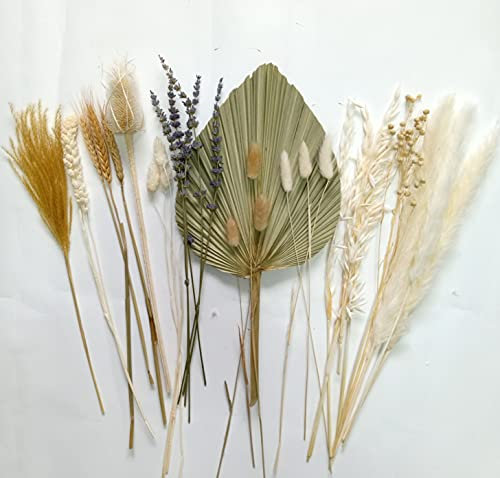 DongArts Herbe de la pampa séchée - Décoration d'automne - Bouquet d'éventails de palmier bohème - Queue de lapin - Feuilles de palmier - Pour mariage, centre de table et décoration d'intérieur
