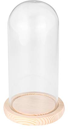 FOMIYES Cristal cúpula Cloche Mesa Centro de Mesa Cloche Bell Jar para Rose Display Antigua Figurita Decorativa escaparate Base Madera 9x24cm