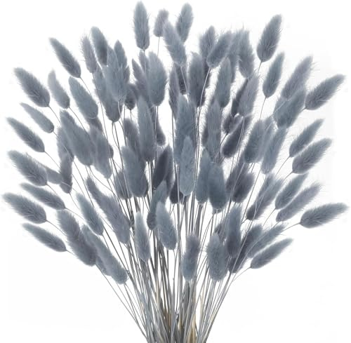 Minnhua 120 Stück Trockenblumen Klein Pampasgras Natürliche Getrocknet Blumen Getrocknetes Schilfgras Klein für Hochzeit Hause Party Wedding Büro Fotografie Vase Deko Grau