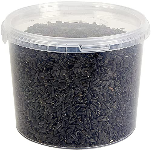 Premium Black Sunflower Seed Wild Bird Food 3L Tub