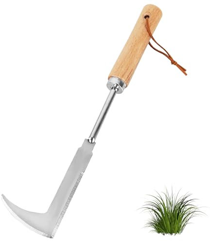 XCDMJ Rascador de juntas, extractor de malas hierbas de acero inoxidable, mango de madera, cabeza de acero inoxidable con medida, cortadora de malas hierbas para eliminar malas hierbas, plantar